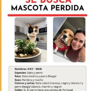 Kiki y BOB Gato y Perro - Gatos