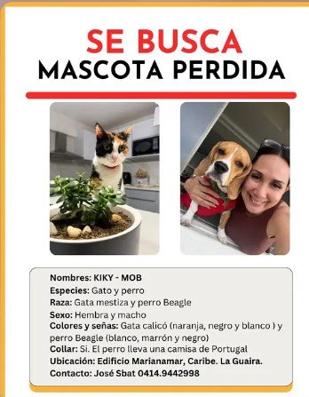 Kiki y BOB Gato y Perro - Gatos