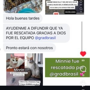 Reporte de Encontrados Gracias a Dios - Perros