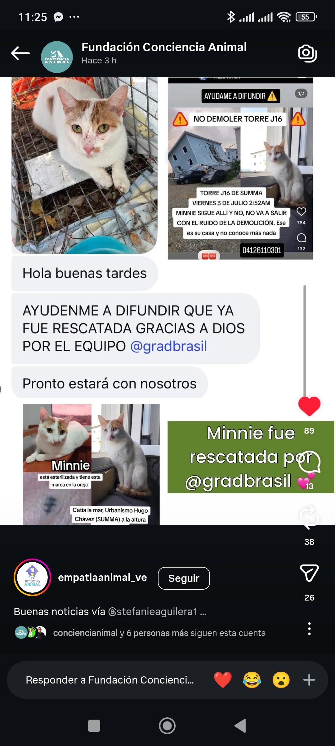 Reporte de Encontrados Gracias a Dios - Perros