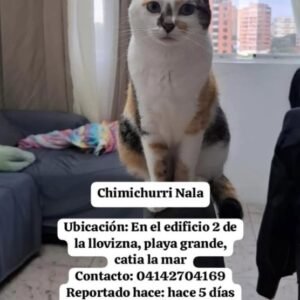 Nala Chimichurri - Gatos