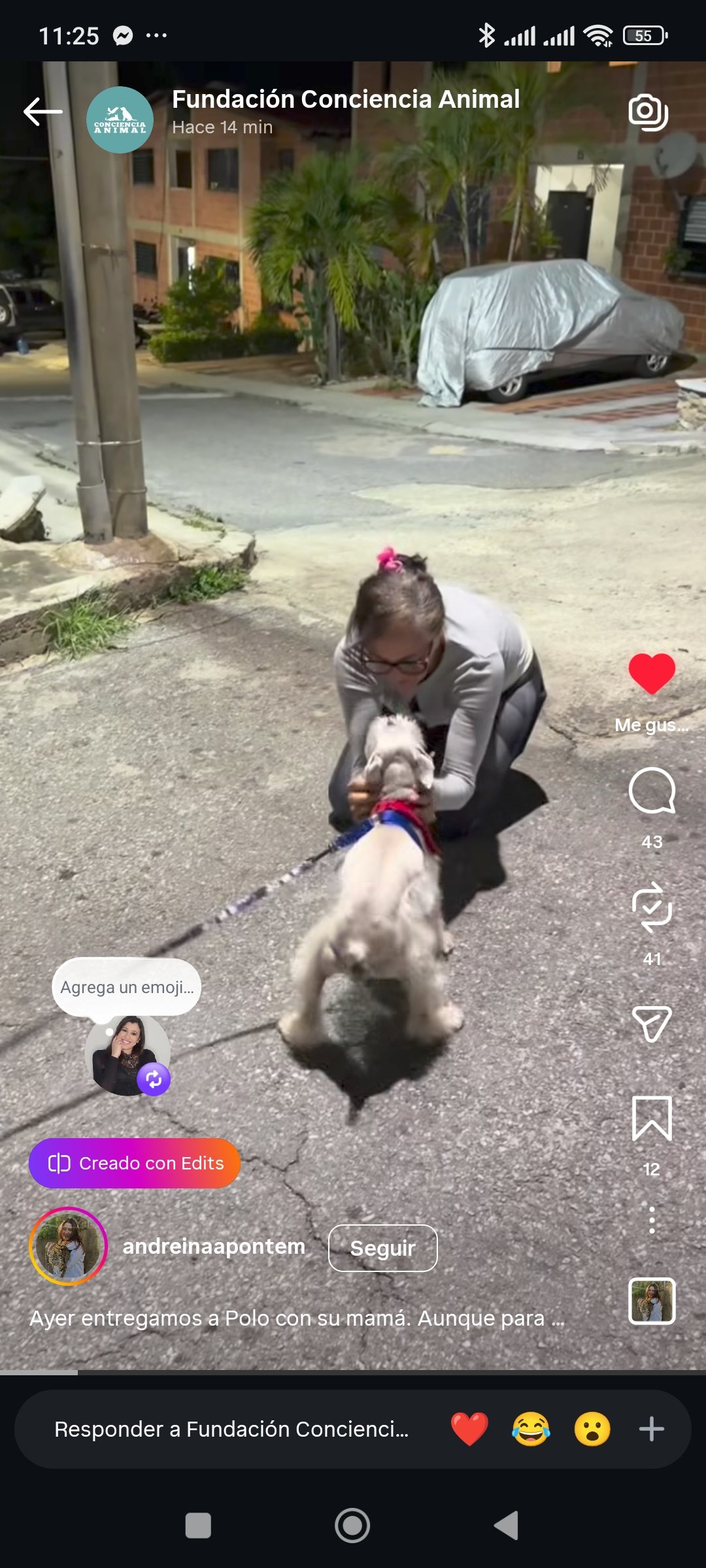 Reporte de Encontrados Gracias a Dios - Perros - Imagen 5