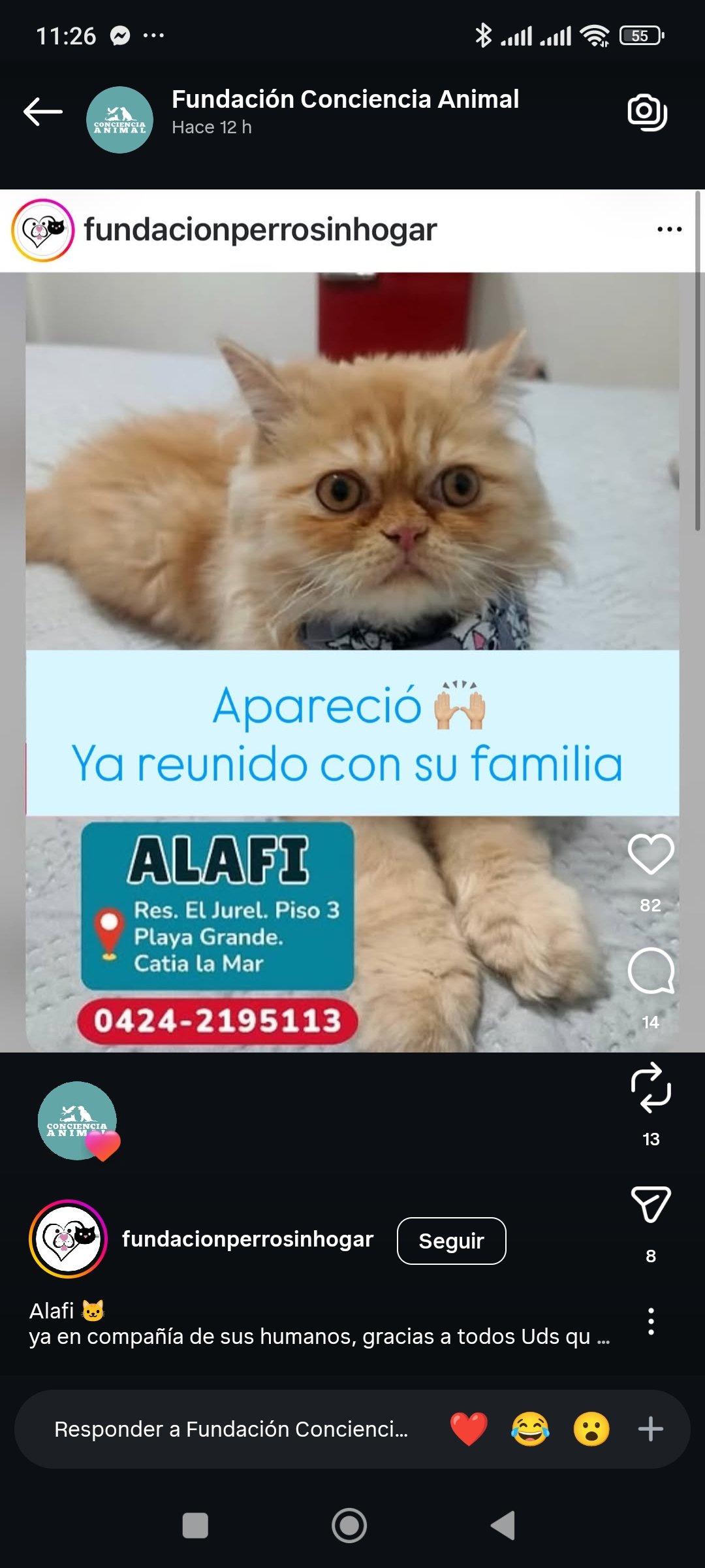 Reporte de Encontrados Gracias a Dios - Perros - Imagen 3