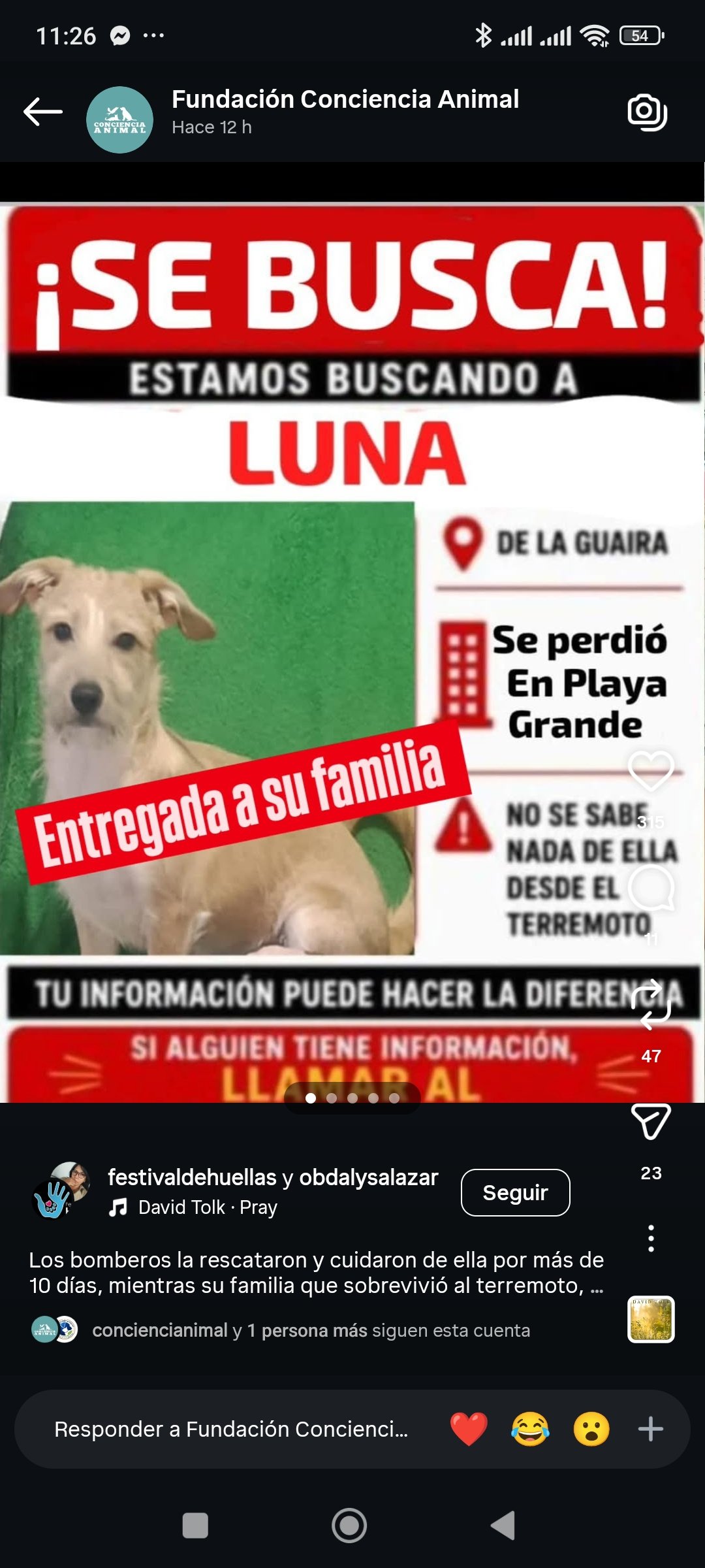 Reporte de Encontrados Gracias a Dios - Perros - Imagen 4