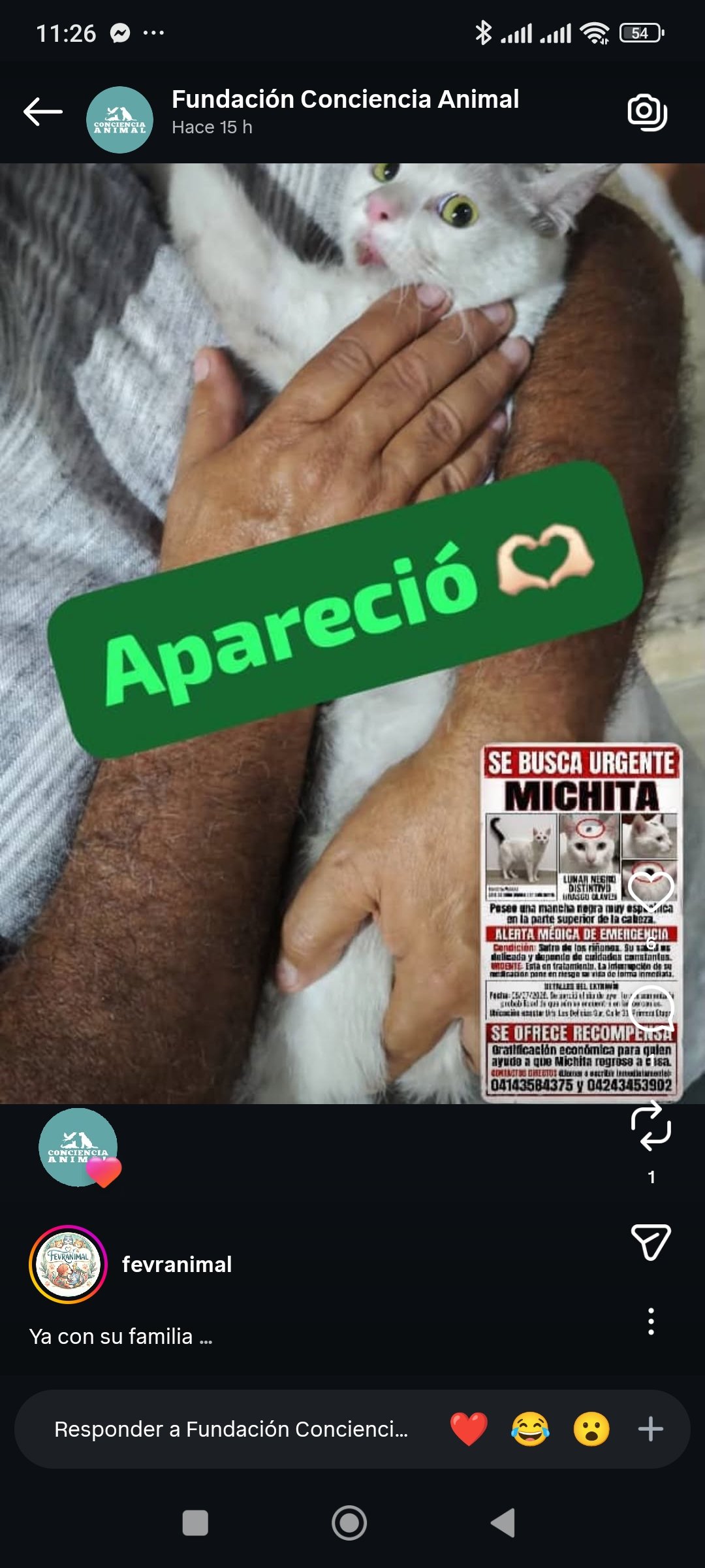 Reporte de Encontrados Gracias a Dios - Perros - Imagen 2