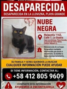 Nube negra - Gatos